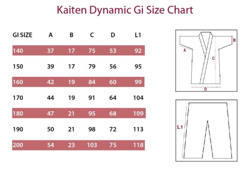 Kaiten Dynamic Gi