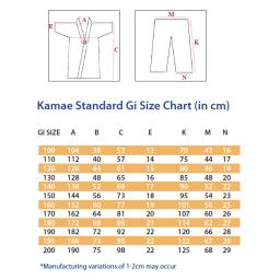 Standard Size Chart 2025.png