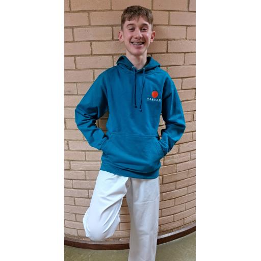 Children's Embroidered Hoodies