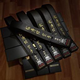 Black Belts Category.jpg